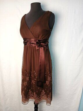 Brown Sheer Dress w Delicate Sparkly Border Print on skirt